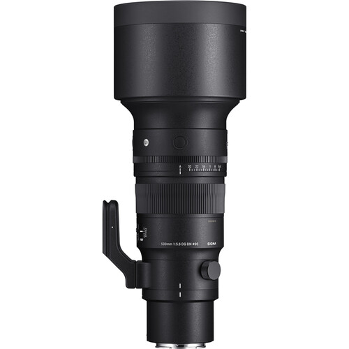 Sigma 500mm F5.6 DG DN OS | Sports